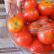 Аджика с яблоками, помидорами и морковью – согревающая и солнечная приправа